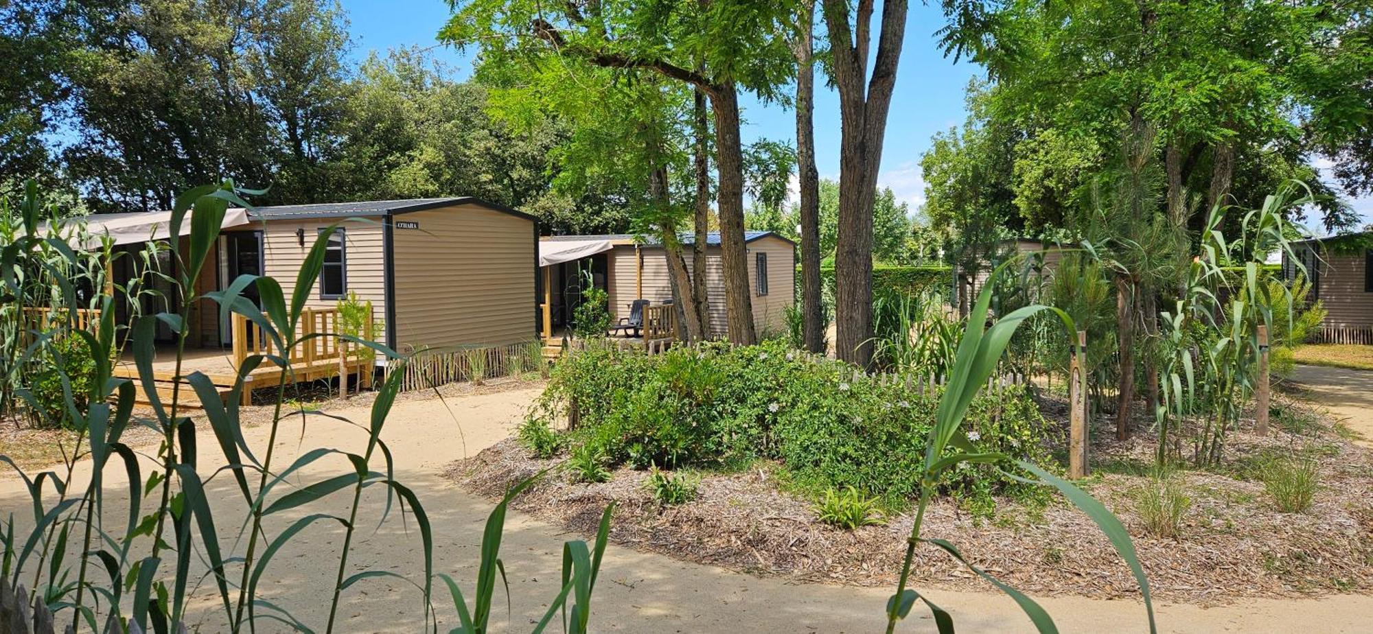 Camping Le Bois Verdon Saint-Jean-de-Monts Esterno foto