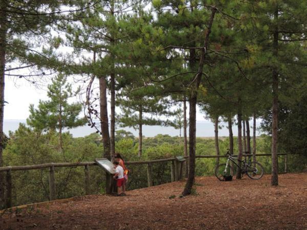 Camping Le Bois Verdon Saint-Jean-de-Monts Esterno foto