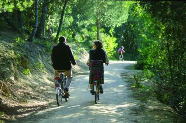 Camping Le Bois Verdon Saint-Jean-de-Monts Esterno foto